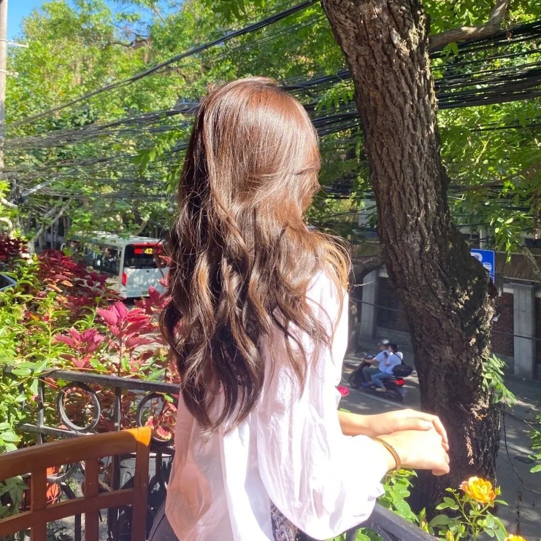 霍莉